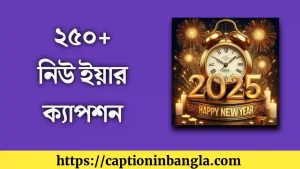 নিউ ইয়ার ক্যাপশন - হ্যাপি নিউ ইয়ার ২০২৫ ক্যাপশন