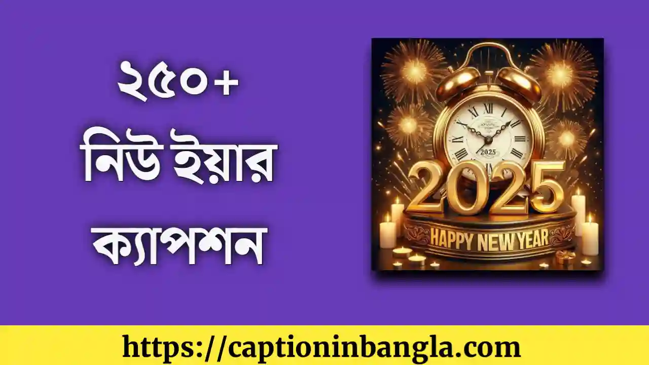 নিউ ইয়ার ক্যাপশন - হ্যাপি নিউ ইয়ার ২০২৫ ক্যাপশন