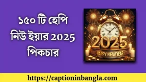 হেপি নিউ ইয়ার 2025 পিকচার - Happy New Year 2025 Picture