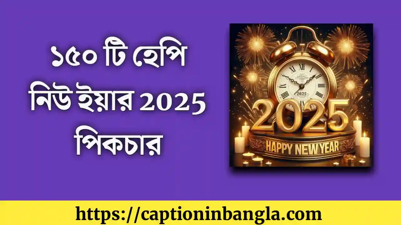 হেপি নিউ ইয়ার 2025 পিকচার - Happy New Year 2025 Picture