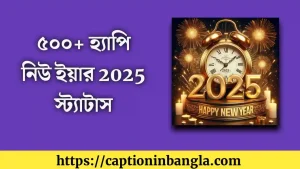 হ্যাপি নিউ ইয়ার 2025 স্ট্যাটাস