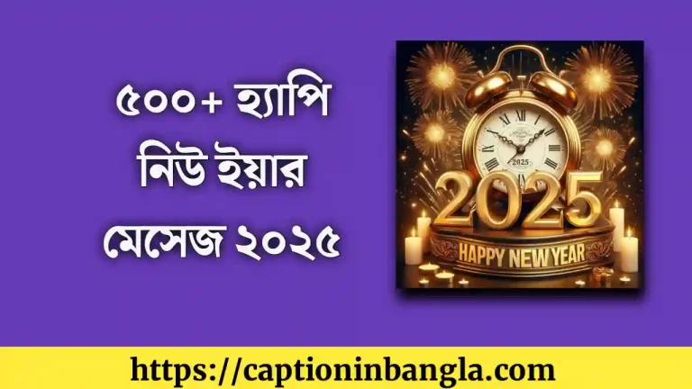 হ্যাপি নিউ ইয়ার মেসেজ - হ্যাপি নিউ ইয়ার ২০২৫ মেসেজ