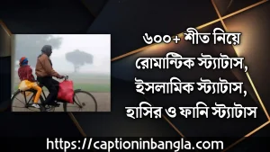 শীত নিয়ে রোমান্টিক স্ট্যাটাস -  শীত নিয়ে স্ট্যাটাস -  শীত নিয়ে ইসলামিক স্ট্যাটাস, হাসির স্ট্যাটাস ও ফানি স্ট্যাটাস