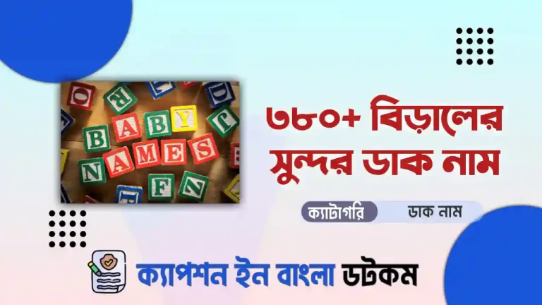 বিড়ালের সুন্দর ডাক নাম