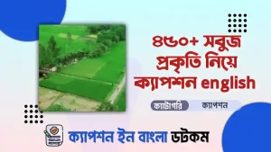 ৪০০+ সবুজ প্রকৃতি নিয়ে ক্যাপশন English দেখুন
