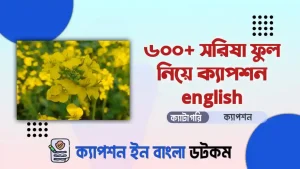 ৪৫০+ সরিষা ফুল নিয়ে ক্যাপশন english দেখুন