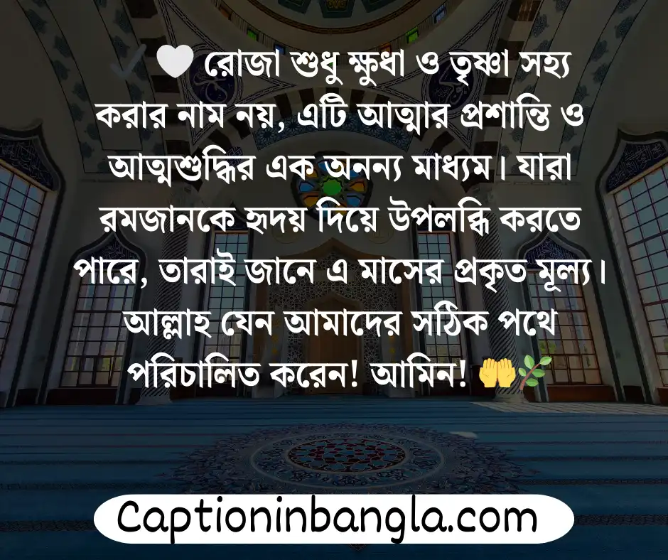 রমজান নিয়ে স্ট্যাটাস 
