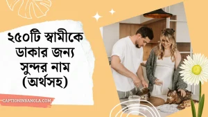 স্বামীকে ডাকার জন্য সুন্দর নাম