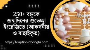 250+ বন্ধুকে জন্মদিনের শুভেচ্ছা ইংরেজিতে (আকর্ষনীয় ও বাছাইকৃত)