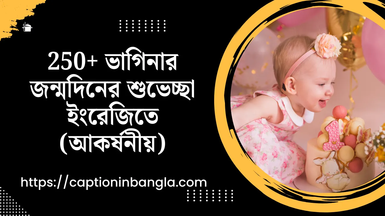 250+ ভাগিনার জন্মদিনের শুভেচ্ছা ইংরেজিতে (আকর্ষনীয়)