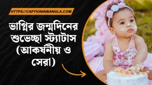 ভাগ্নির জন্মদিনের শুভেচ্ছা স্ট্যাটাস (আকর্ষনীয় ও সেরা)