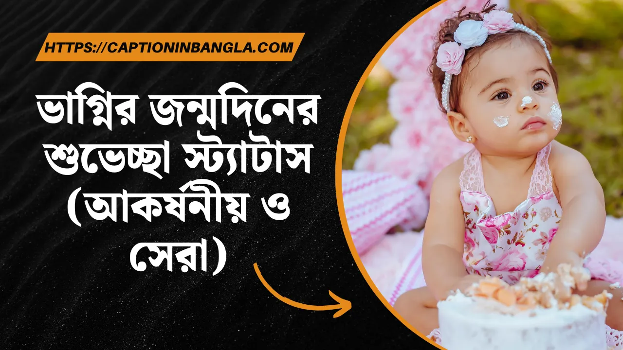 ভাগ্নির জন্মদিনের শুভেচ্ছা স্ট্যাটাস (আকর্ষনীয় ও সেরা)