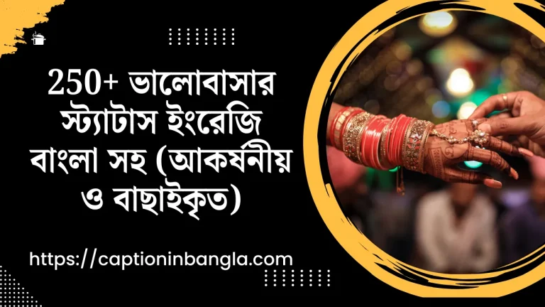 250+ ভালোবাসার স্ট্যাটাস ইংরেজি বাংলা সহ (আকর্ষনীয় ও বাছাইকৃত)