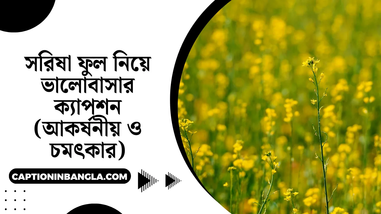 সরিষা ফুল নিয়ে ভালোবাসার ক্যাপশন (আকর্ষনীয় ও চমৎকার)