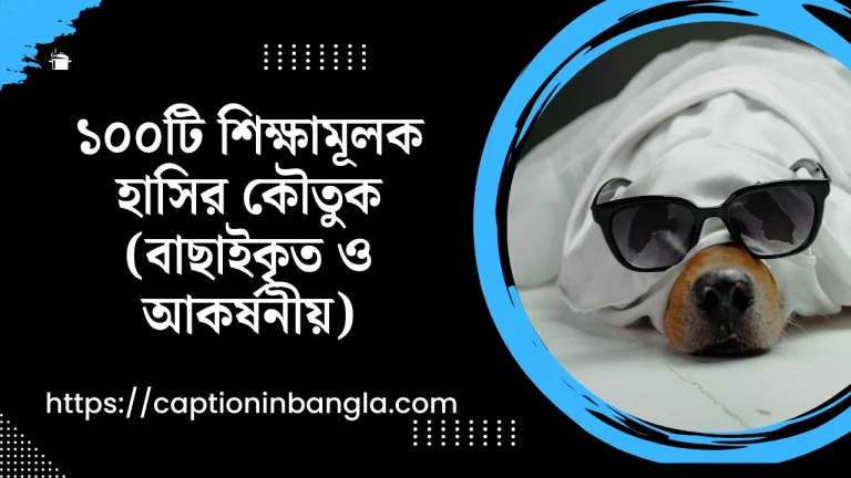 শিক্ষামূলক হাসির কৌতুক